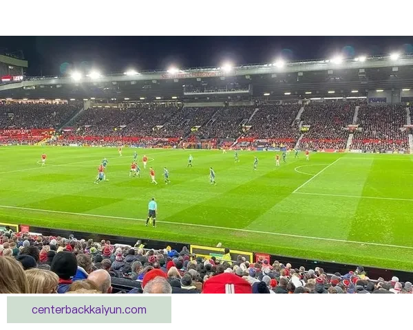 赫塔菲整体实力逐步提升，竞争力增强引人关注